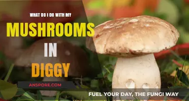 Diggy's Mushroom Mastery: Creative Uses for Your Fungal Finds