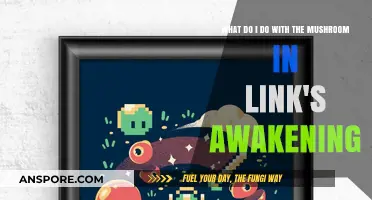 Unleash the Power: Mushroom Secrets in Link's Awakening Explained