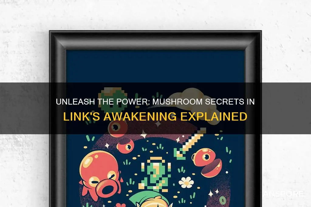 what do i do with the mushroom in link