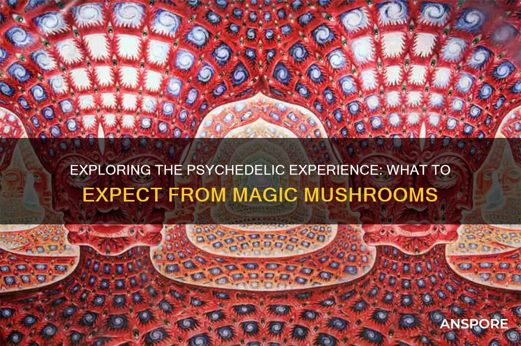 what do i expect if i eat magic mushrooms