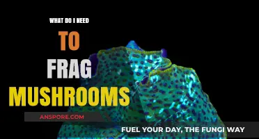 Essential Tools and Techniques for Successful Mushroom Fragging