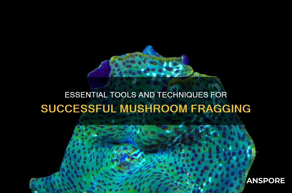 what do i need to frag mushrooms