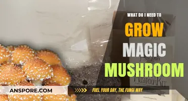 Essential Supplies for Growing Magic Mushrooms at Home