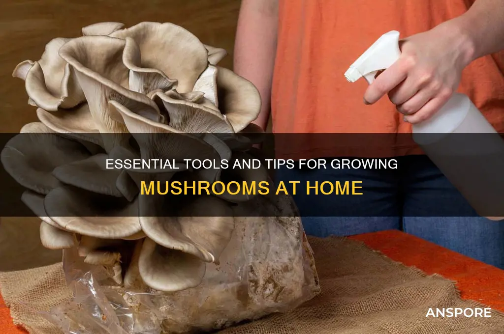 what do i need to grow mushrooms