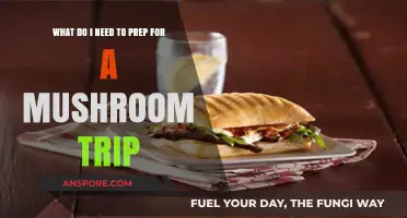 Essential Prep Tips for a Safe and Transformative Mushroom Journey