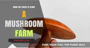 Essential Tools and Tips to Launch Your Mushroom Farming Journey