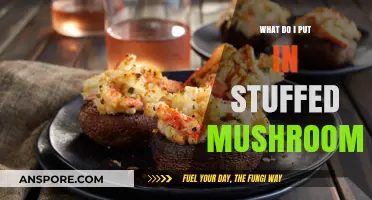 Delicious Stuffed Mushroom Fillings: Creative Recipes and Flavor Combinations