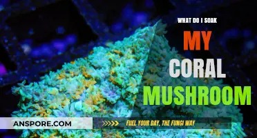 Soaking Coral Mushrooms: Essential Tips for Perfect Texture and Flavor