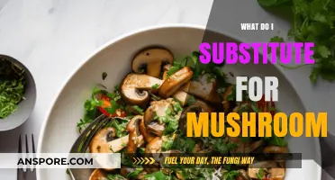 Mushroom Alternatives: Creative Substitutes for Flavor and Texture in Recipes