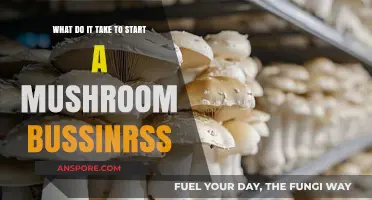 Starting a Mushroom Business: Essential Steps for Success