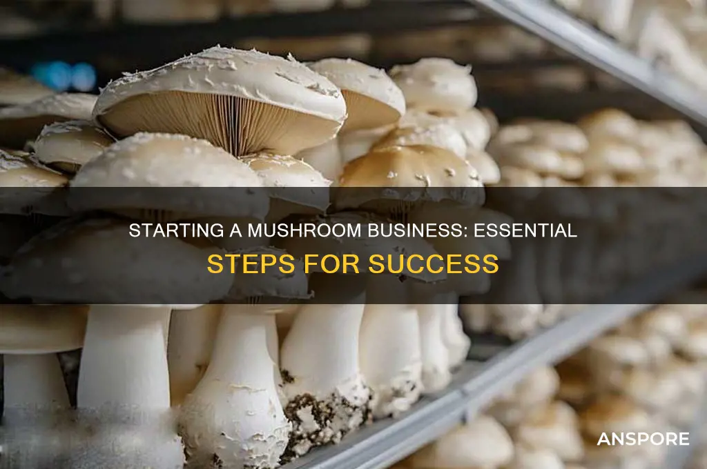 what do it take to start a mushroom bussinrss