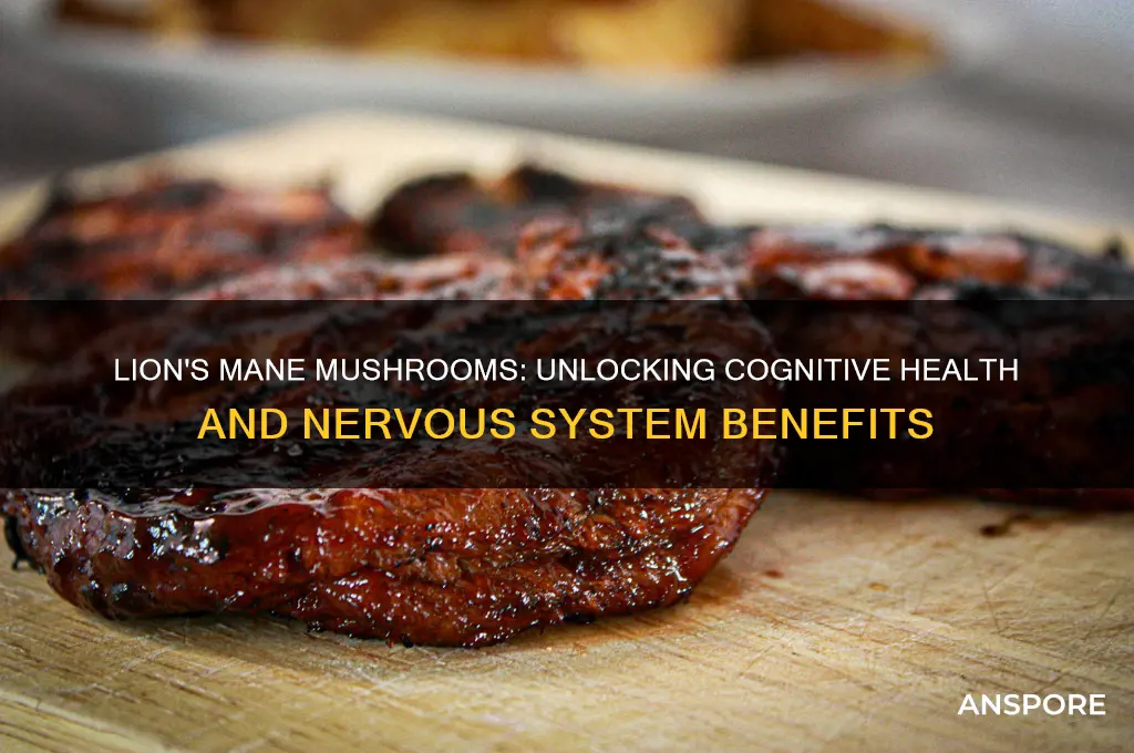 what do lions mane mushrooms do