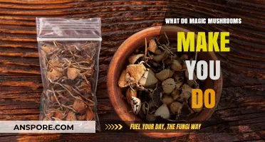 Exploring the Effects: What Do Magic Mushrooms Make You Do?