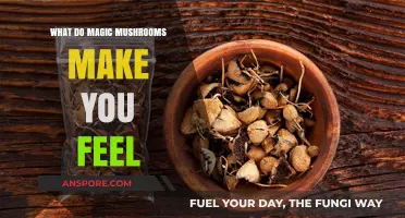 Exploring the Psychedelic Experience: What Magic Mushrooms Make You Feel