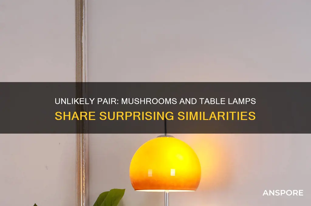 what do mushroom and table lamp have in common