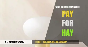Mushroom Barns' Hay Pricing: Understanding Costs for Farmers and Suppliers