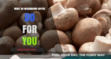 Mushroom Coffee Benefits: Boost Energy, Focus, and Immune Health Naturally