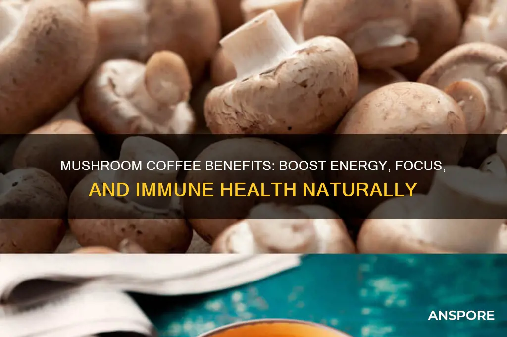 what do mushroom coffee do for you