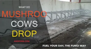 Mushroom Cows: Drops and Rewards