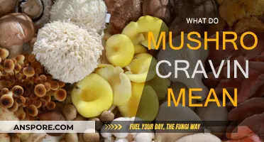 Mushroom Cravings: What Your Body is Trying to Tell You