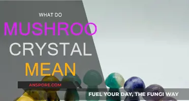 Mushroom Crystals: Their Meaning and Significance