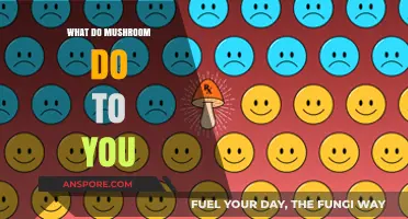 Unveiling the Surprising Effects of Mushrooms on Your Mind and Body