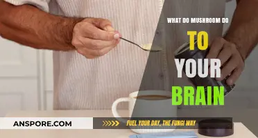 Mushrooms and Mind: Unveiling Brain-Boosting Benefits and Effects