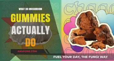 Unveiling Mushroom Gummies: Benefits, Effects, and How They Work