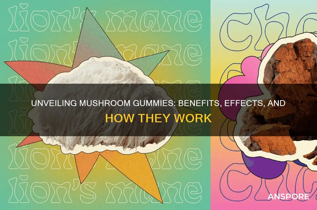 what do mushroom gummies actually do