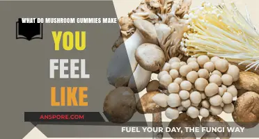 Exploring the Sensations: How Mushroom Gummies Affect Your Mind and Body