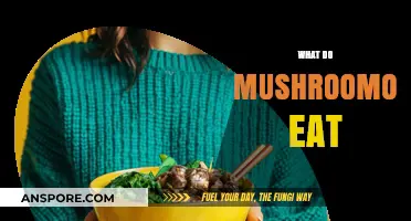 Unveiling the Diet of Mushroom-Like Organisms: What Do They Consume?