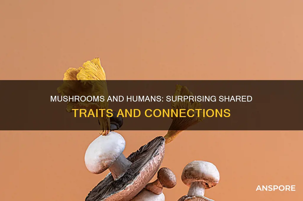 what do mushrooms and humans have in common
