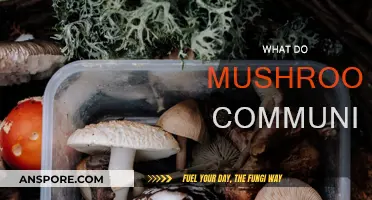 Mushrooms' Secret Language: Communicating in the Understory