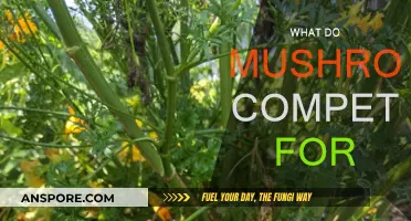 Mushrooms' Battle for Resources and Survival