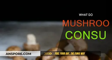 Mushrooms' Unique Diet: Breaking Down Nature's Complex Food Web