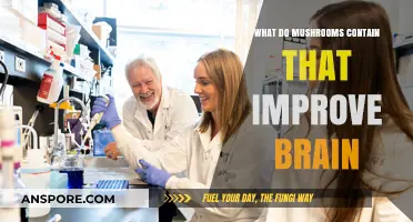 Mushrooms' Brain-Boosting Compounds: Unlocking Cognitive Health Benefits