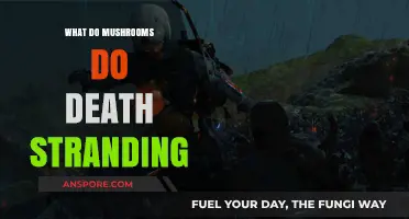 Unveiling the Role of Mushrooms in Death Stranding's Mysterious World