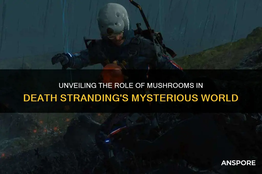 what do mushrooms do death stranding