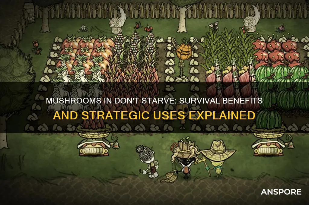 what do mushrooms do dont starve