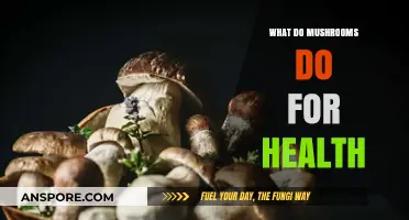 Mushrooms' Surprising Health Benefits: Boosting Immunity, Brain Function, and More