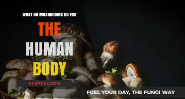 Mushrooms' Surprising Health Benefits: Boosting Immunity, Energy, and Brain Function