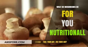 Mushrooms' Nutritional Benefits: Boosting Health with Essential Vitamins and Minerals