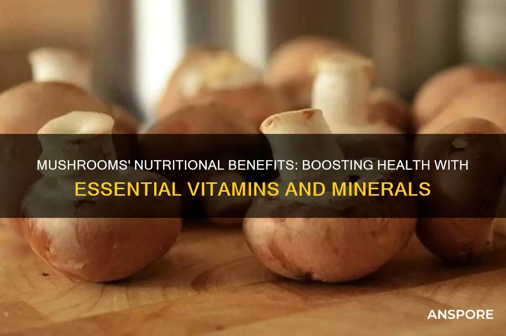 what do mushrooms do for you nutritionally