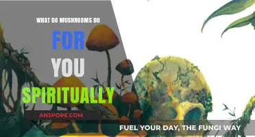 Mushrooms and Spirituality: Unlocking Inner Peace and Higher Consciousness