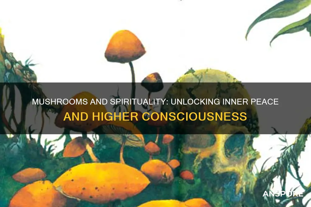 what do mushrooms do for you spiritually