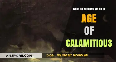 Mushrooms' Role in Age of Calamitous: Unveiling Their Unique Abilities