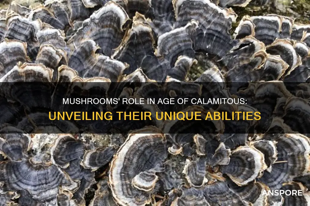 what do mushrooms do in age of calamitious