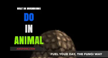 Mushrooms in Animal Crossing: Unlocking Secrets and Enhancing Gameplay