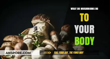 Mushrooms' Surprising Health Benefits and Effects on Your Body Explained