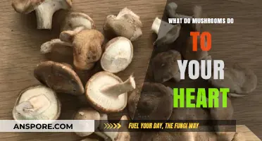 Mushrooms and Heart Health: Unveiling Their Impact on Cardiovascular Wellness